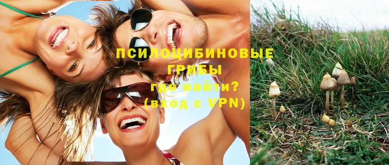 Псилоцибиновые грибы GOLDEN TEACHER  Нефтегорск 